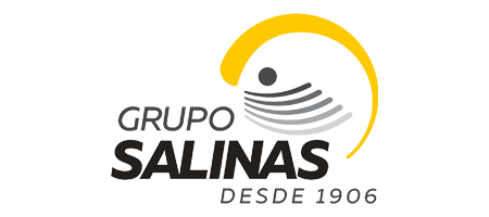 Grupo Salinas